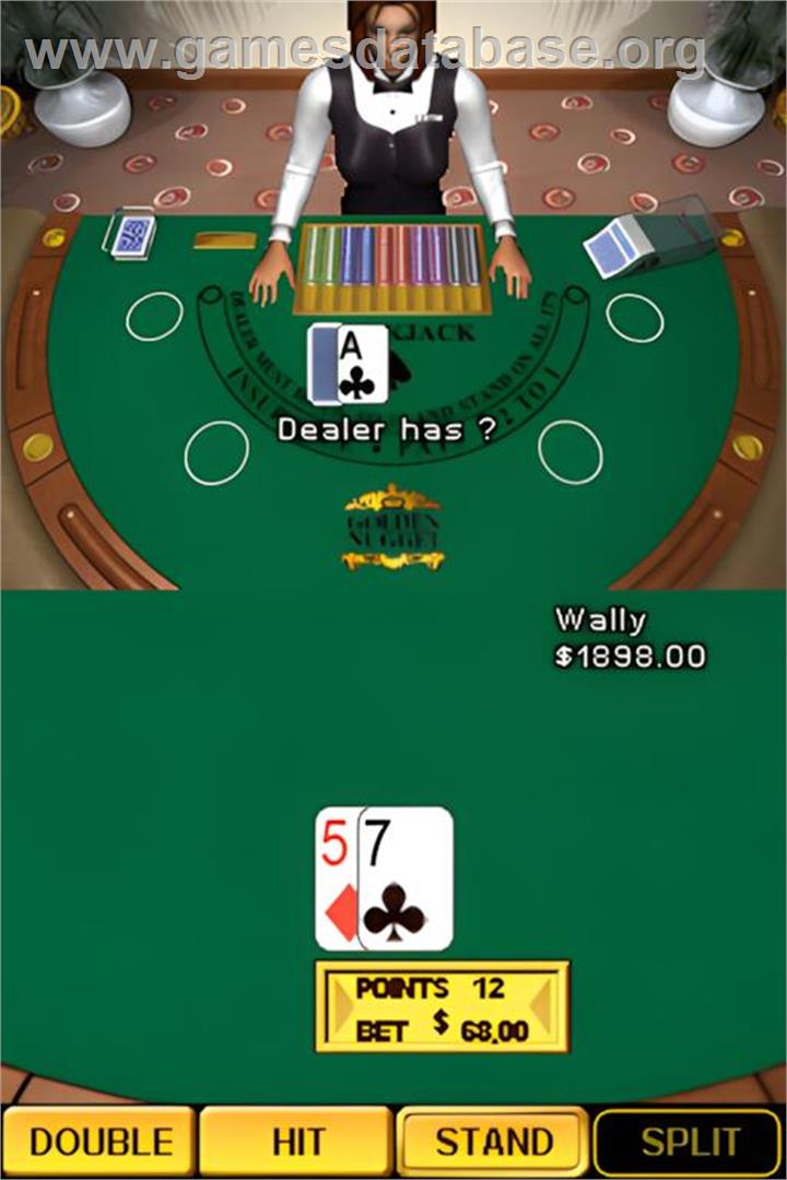 Golden Nugget Casino Ds - Nintendo DS - Artwork - In Game