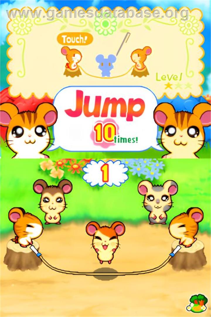 Hi! Hamtaro - Ham-ham Challenge - Nintendo DS - Artwork - In Game