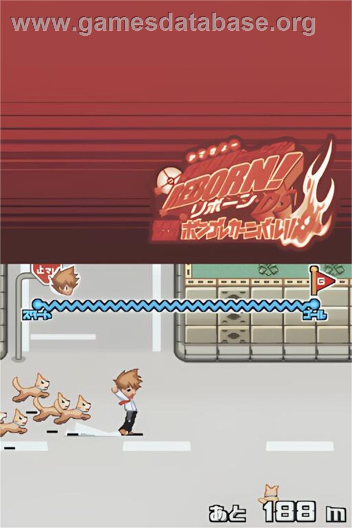 Katekyoo Hitman Reborn! Ds - Shinuki Max! Vongola Carnival!! - Nintendo DS - Artwork - In Game