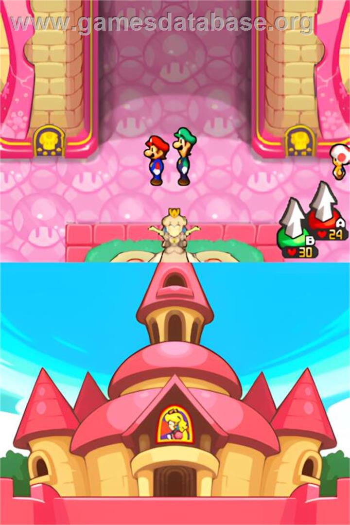 Mario and Luigi - Bowser's Inside Story - Nintendo DS - Artwork - In Game