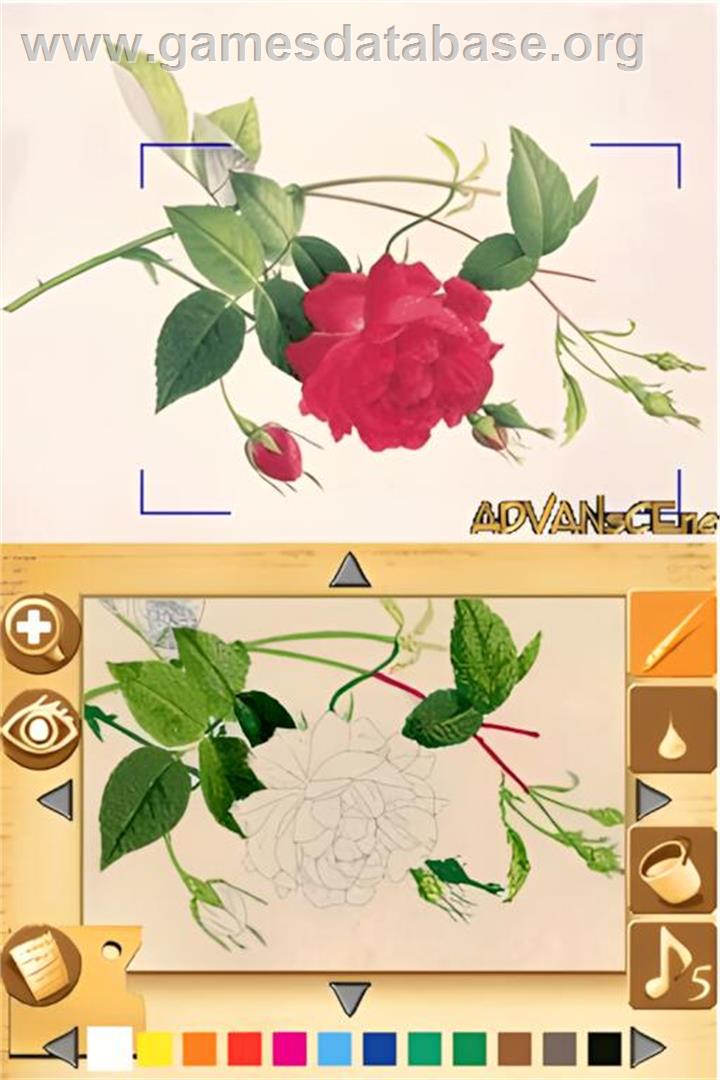 Paint By Ds - Nintendo DS - Artwork - In Game