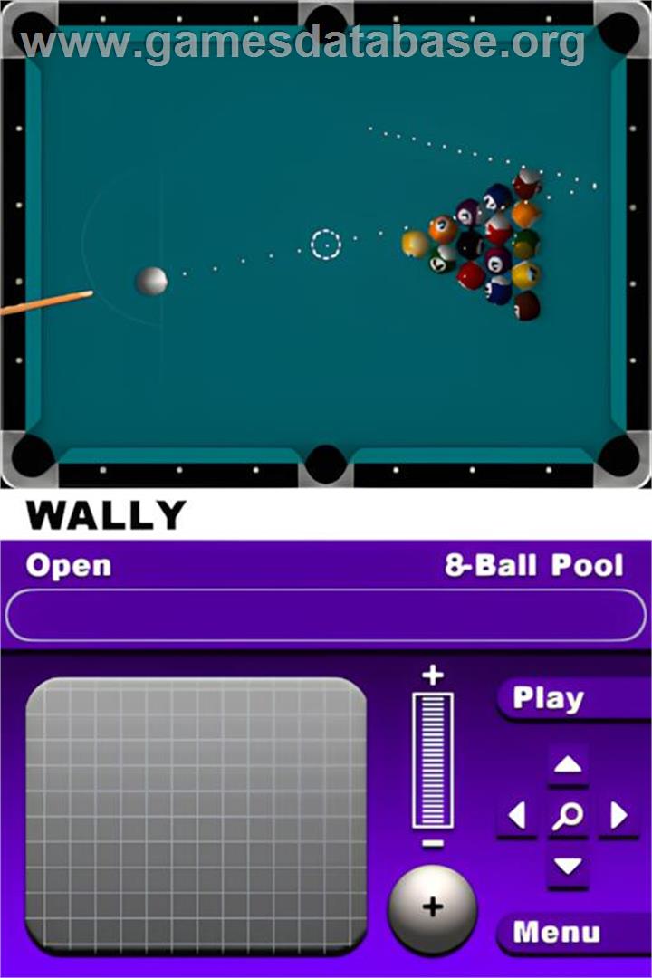 World Cup Of Pool - Nintendo DS - Artwork - In Game