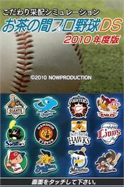 Title screen of Kodawari Saihai Simulation - Ocha No Ma Pro Yakyuu Ds on the Nintendo DS.