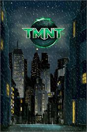 Title screen of Tmnt on the Nintendo DS.