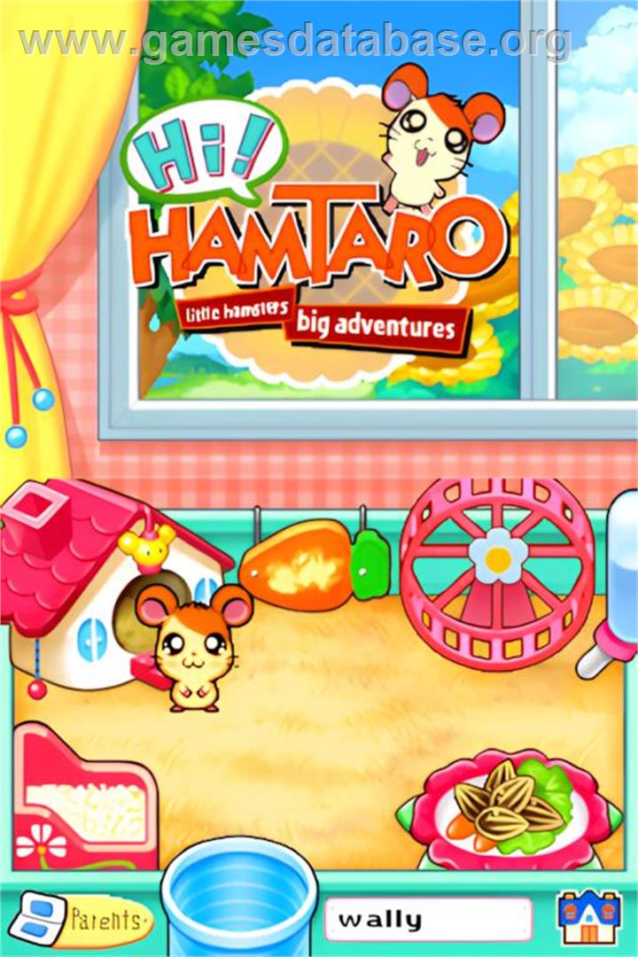 Hi! Hamtaro - Ham-ham Challenge - Nintendo DS - Artwork - Title Screen