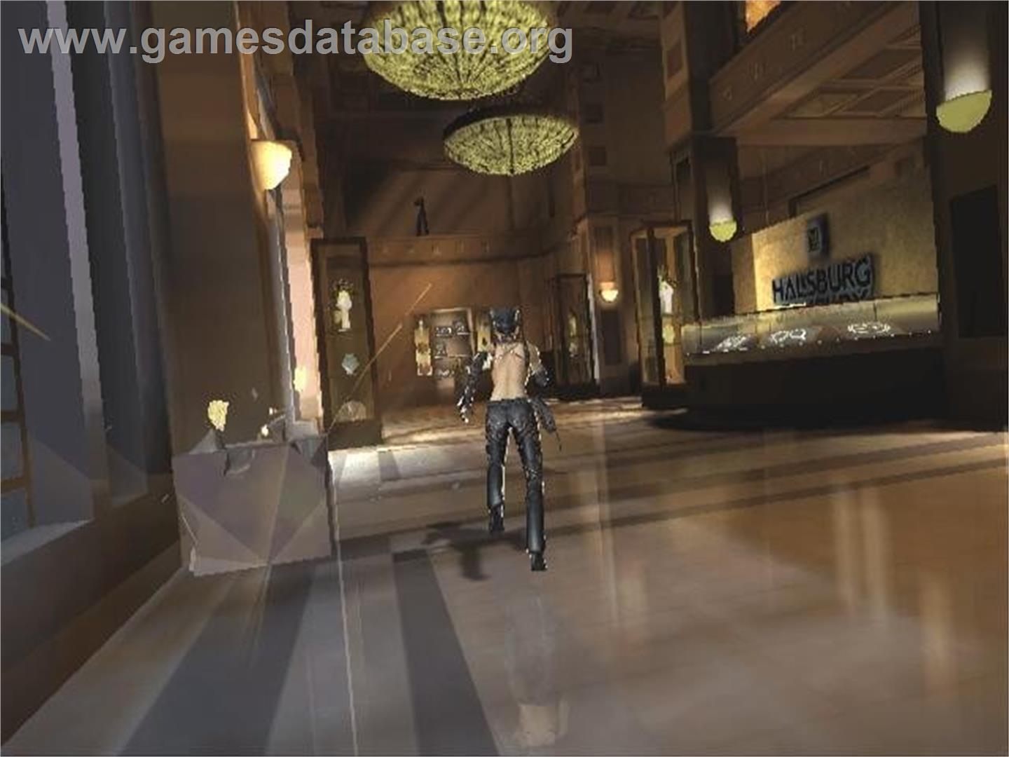 Catwoman - Nintendo GameCube - Artwork - In Game