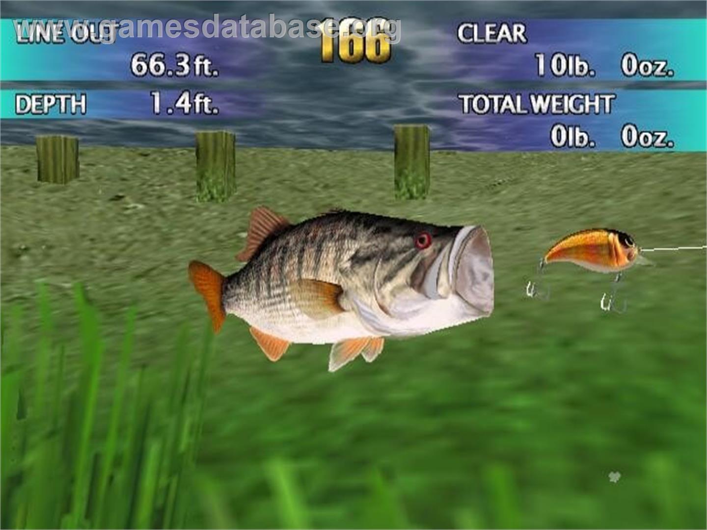 Top Angler - Real Bass Fishing - Nintendo GameCube - Artwork - In Game