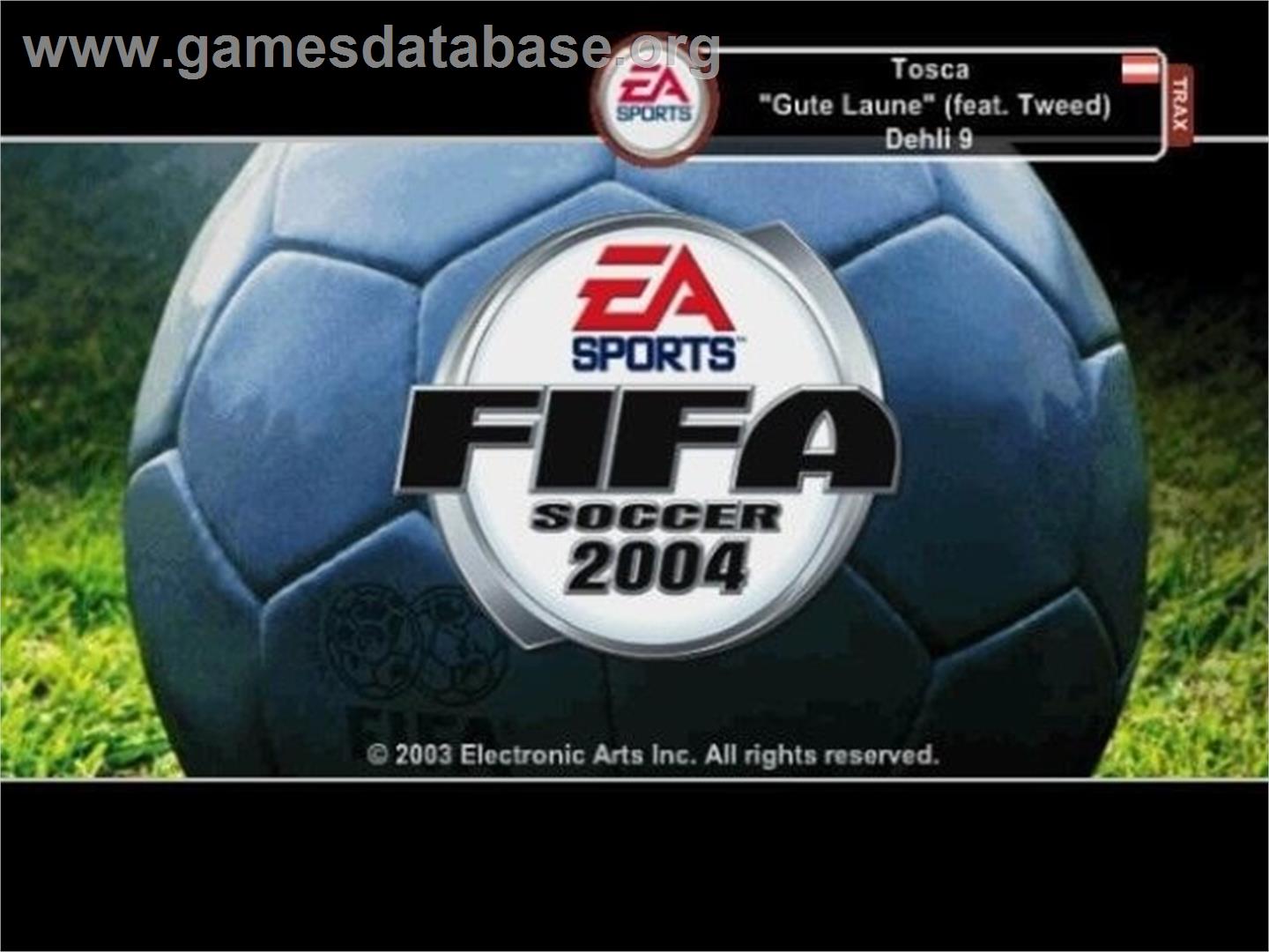 Fifa Football 2004 - Nintendo GameCube - Artwork - Title Screen