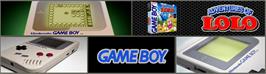 Arcade Cabinet Marquee for Adventures Of Lolo.