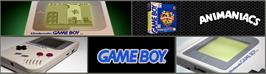 Arcade Cabinet Marquee for Animaniacs.