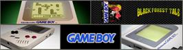 Arcade Cabinet Marquee for Black Forest Tale.
