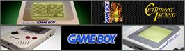 Arcade Cabinet Marquee for Cutthroat Island.