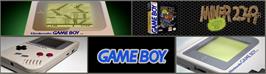 Arcade Cabinet Marquee for Miner 2049er.
