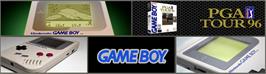 Arcade Cabinet Marquee for Pga Tour 96.