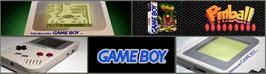 Arcade Cabinet Marquee for Pinball Fantasies.