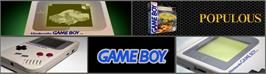 Arcade Cabinet Marquee for Populous.