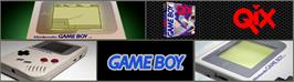 Arcade Cabinet Marquee for QIX.