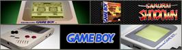 Arcade Cabinet Marquee for Samurai Shodown.