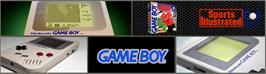 Arcade Cabinet Marquee for Sports Illustrated - Golf Classic.