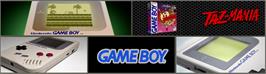 Arcade Cabinet Marquee for Taz-Mania.