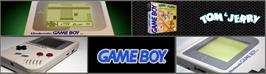Arcade Cabinet Marquee for Tom And Jerry.