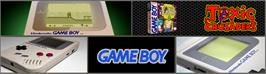 Arcade Cabinet Marquee for Toxic Crusaders.