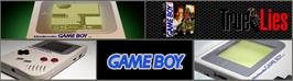 Arcade Cabinet Marquee for True Lies.