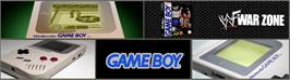 Arcade Cabinet Marquee for WWF War Zone.