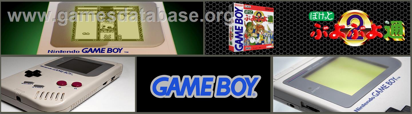 Pocket Puyo Puyo Tsuu - Nintendo Game Boy - Artwork - Marquee