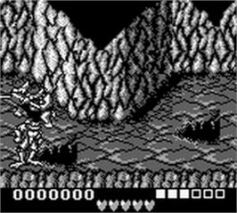 In game image of Battle Toads in Ragnarok's World on the Nintendo Game Boy.
