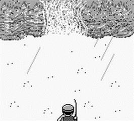 In game image of Pocket Bass Fishing on the Nintendo Game Boy.