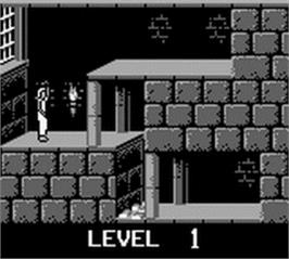 In game image of Prince Of Persia on the Nintendo Game Boy.