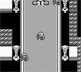 In game image of Twin on the Nintendo Game Boy.