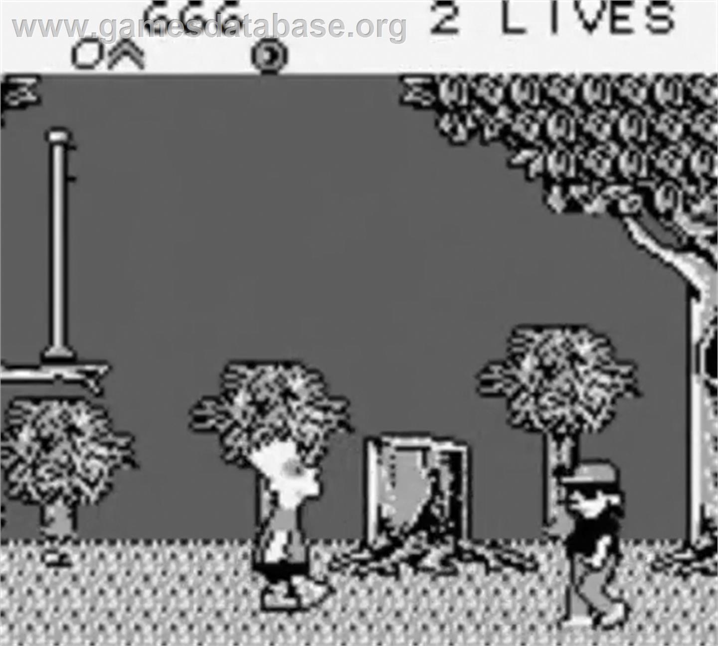 Bart Simpson's Escape from Camp Deadly - Nintendo Game Boy - Artwork - In Game