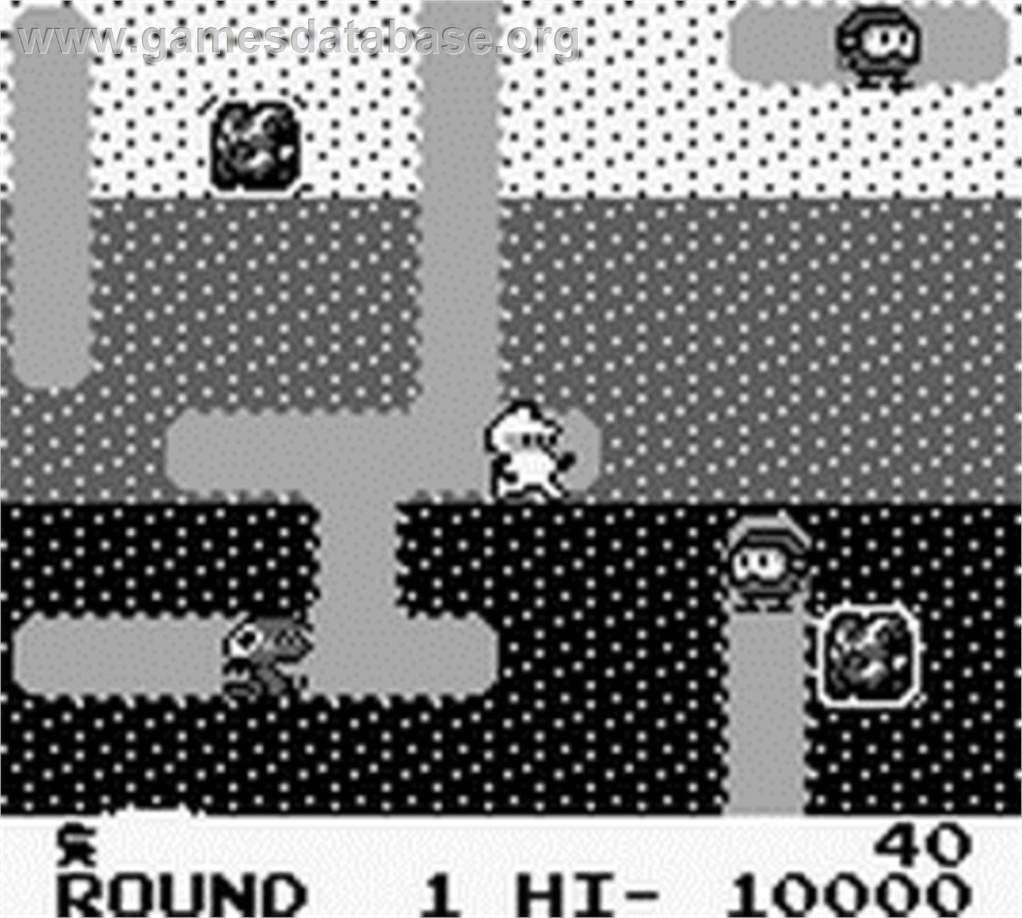 Dig Dug - Nintendo Game Boy - Artwork - In Game