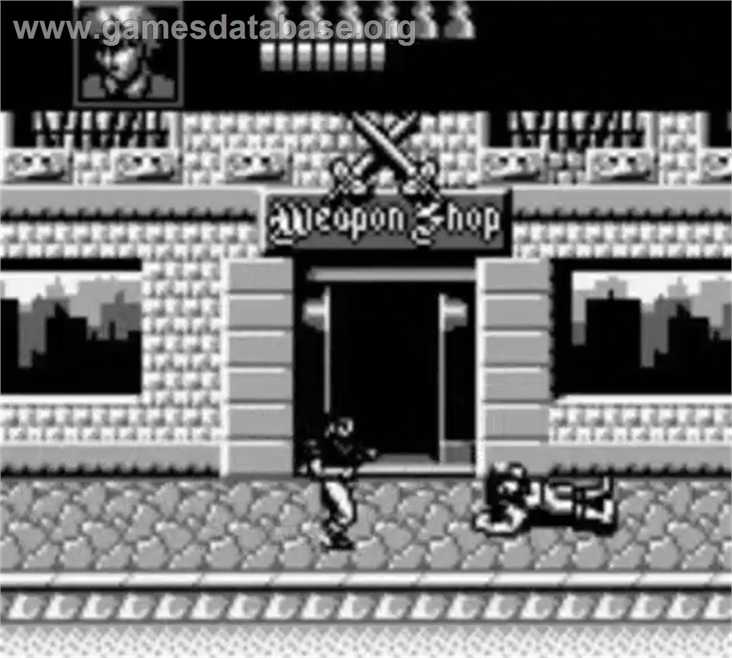 Double Dragon 3 - The Rosetta Stone - Nintendo Game Boy - Artwork - In Game