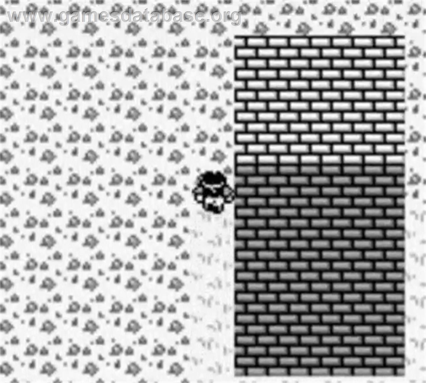 Final Fantasy Legend - Nintendo Game Boy - Artwork - In Game