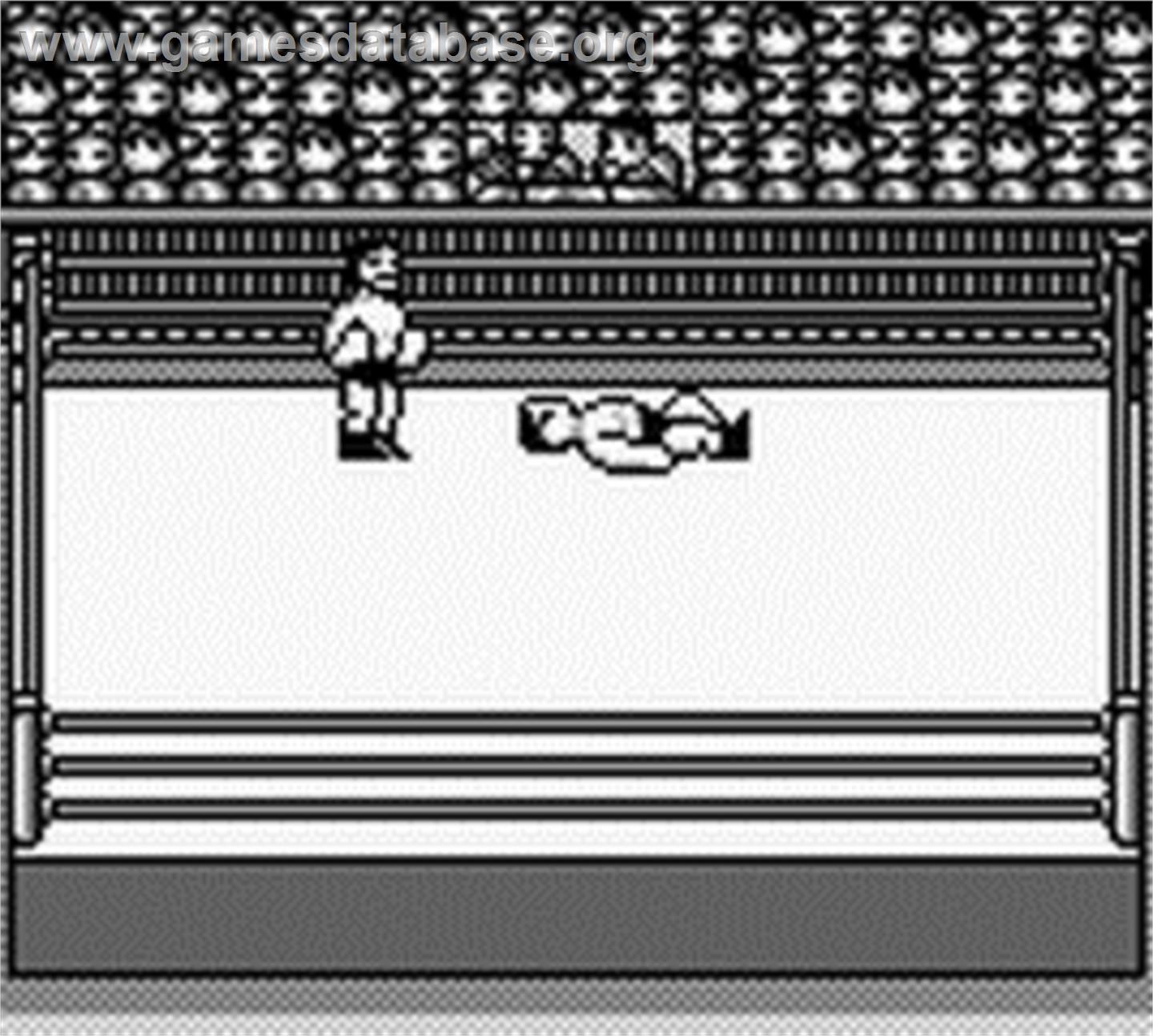 Hal Wrestling - Nintendo Game Boy - Artwork - In Game