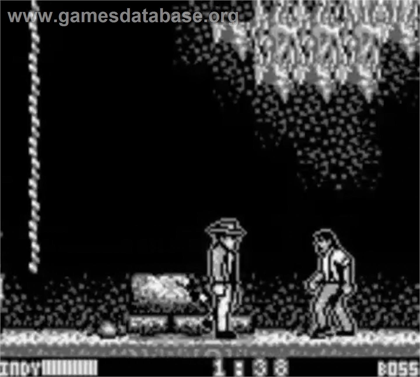 Indiana Jones and the Last Crusade: The Action Game - Nintendo Game Boy - Artwork - In Game