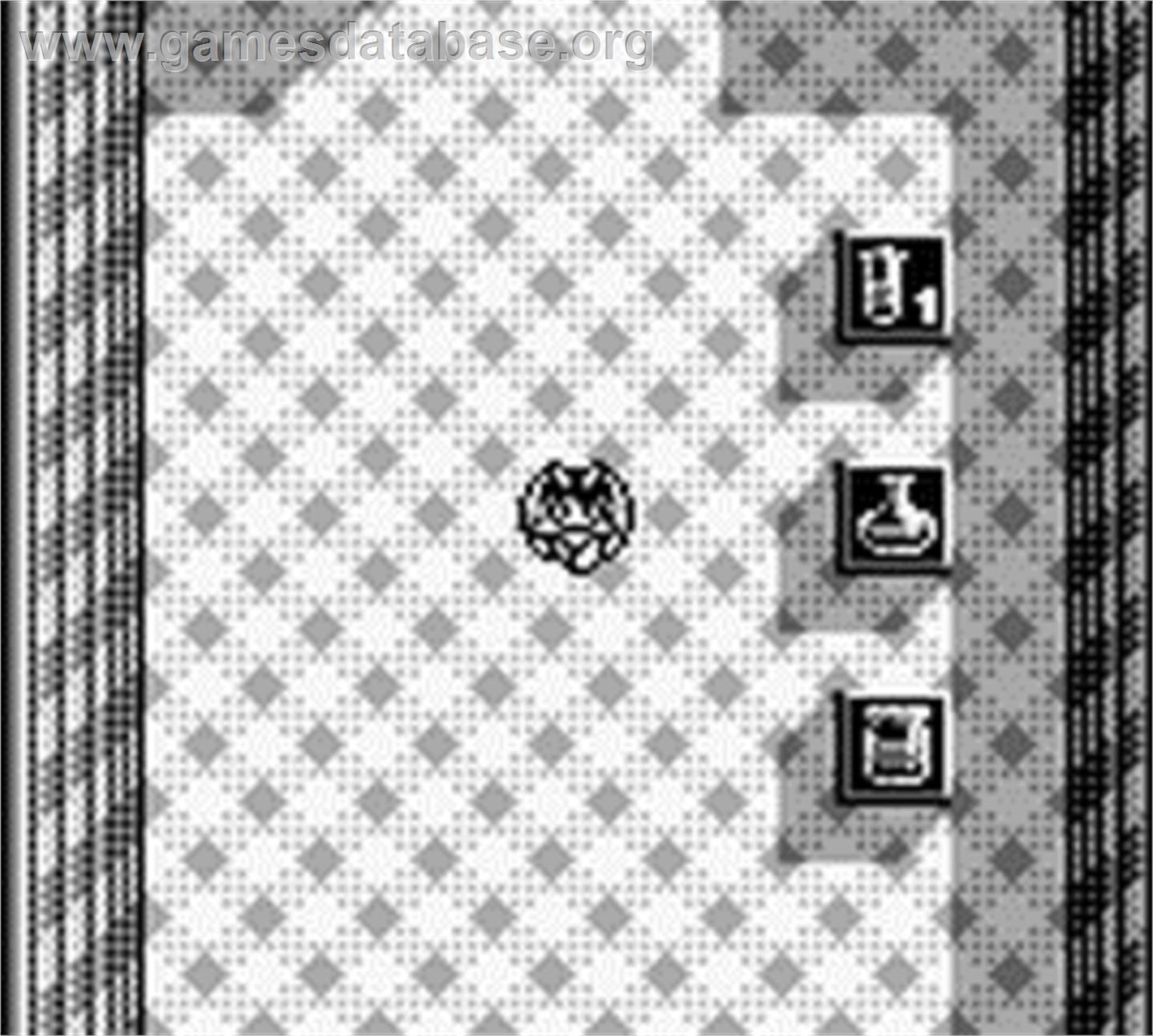 Penta Dragon - Nintendo Game Boy - Artwork - In Game