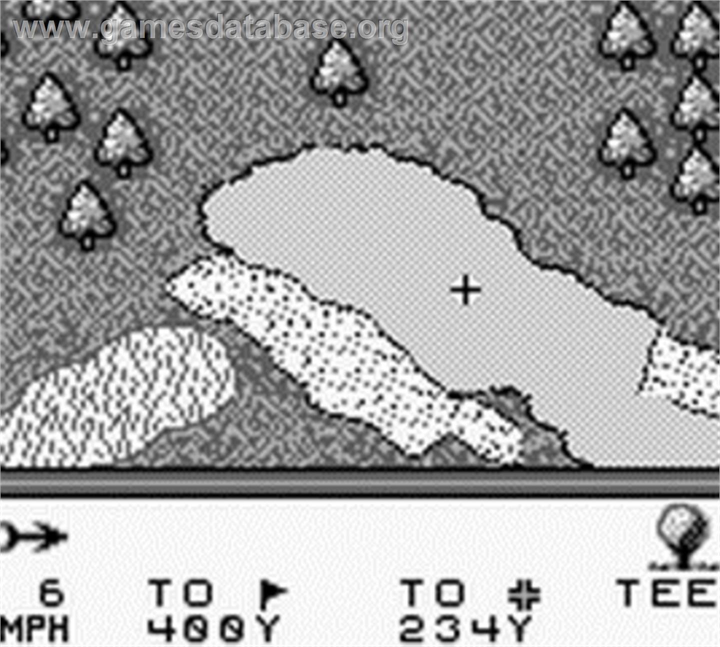 Pga Tour 96 - Nintendo Game Boy - Artwork - In Game
