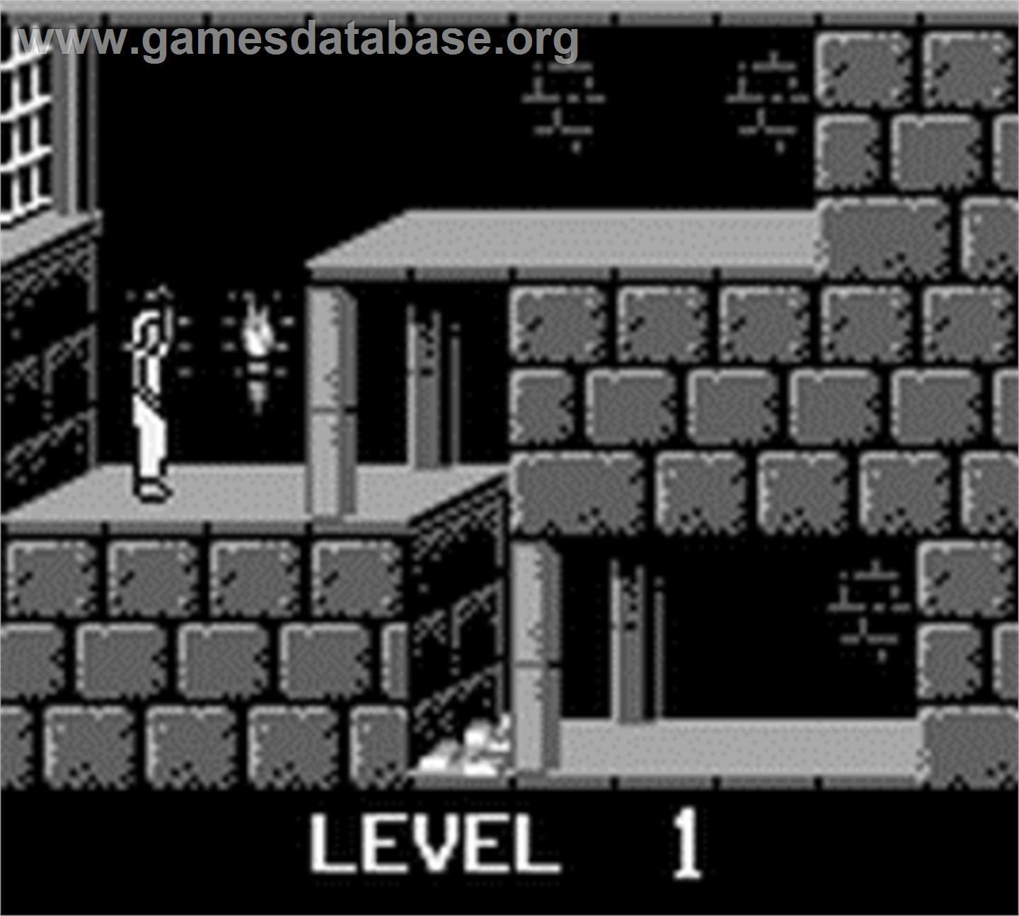 Prince Of Persia - Nintendo Game Boy - Artwork - In Game