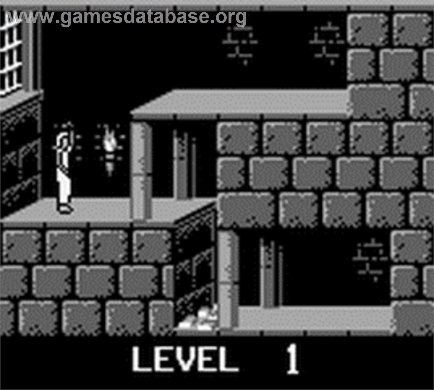 Prince of Persia - Nintendo Game Boy - Artwork - In Game