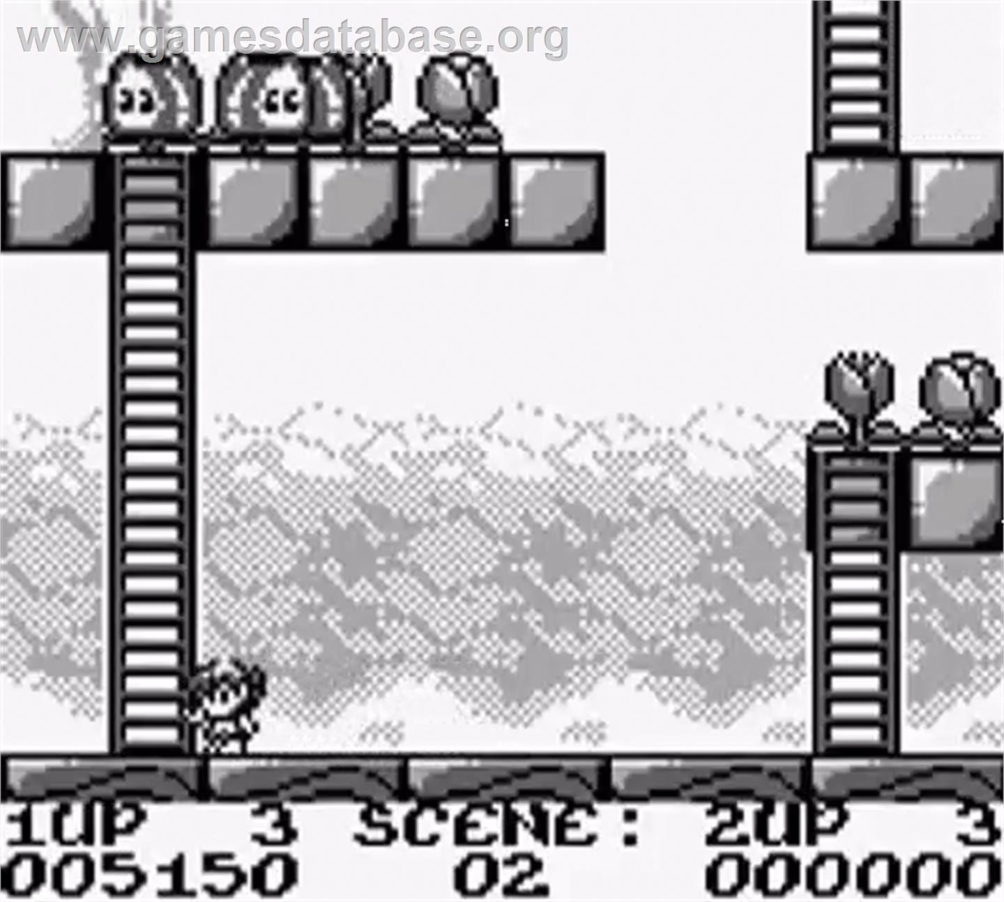 Rod Land - Nintendo Game Boy - Artwork - In Game