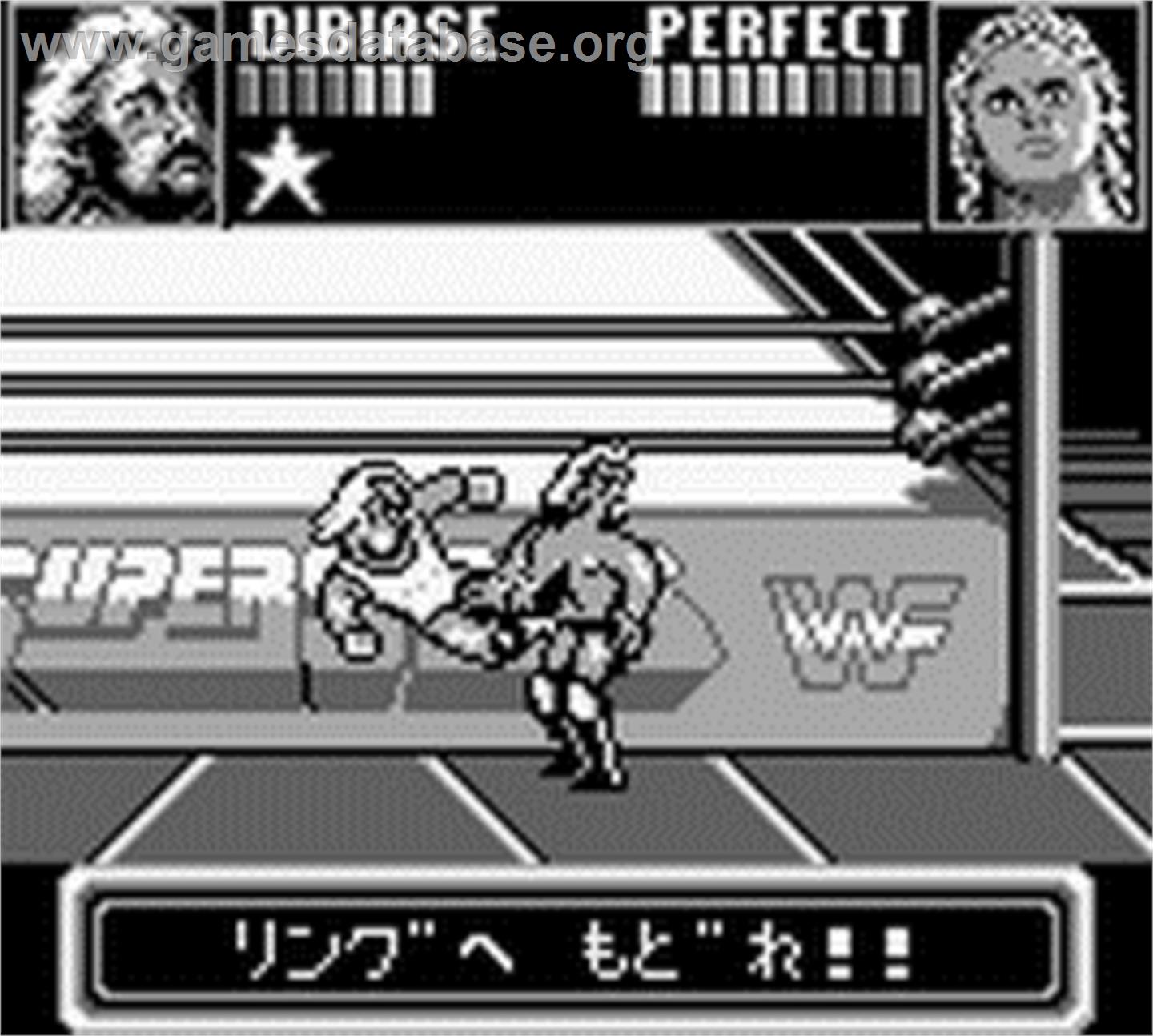 Wwf Superstars - Nintendo Game Boy - Artwork - In Game