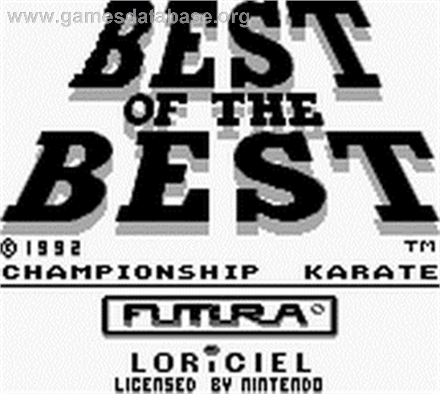 Best of the Best Championship Karate - Nintendo Game Boy - Artwork - Title Screen