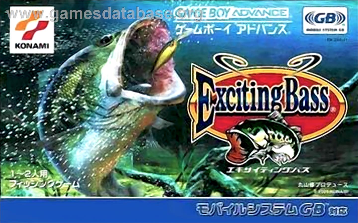 Punching Bags - Nintendo Game Boy Advance - Artwork - Box