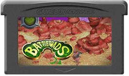 Cartridge artwork for Battletoads on the Nintendo Game Boy Advance.