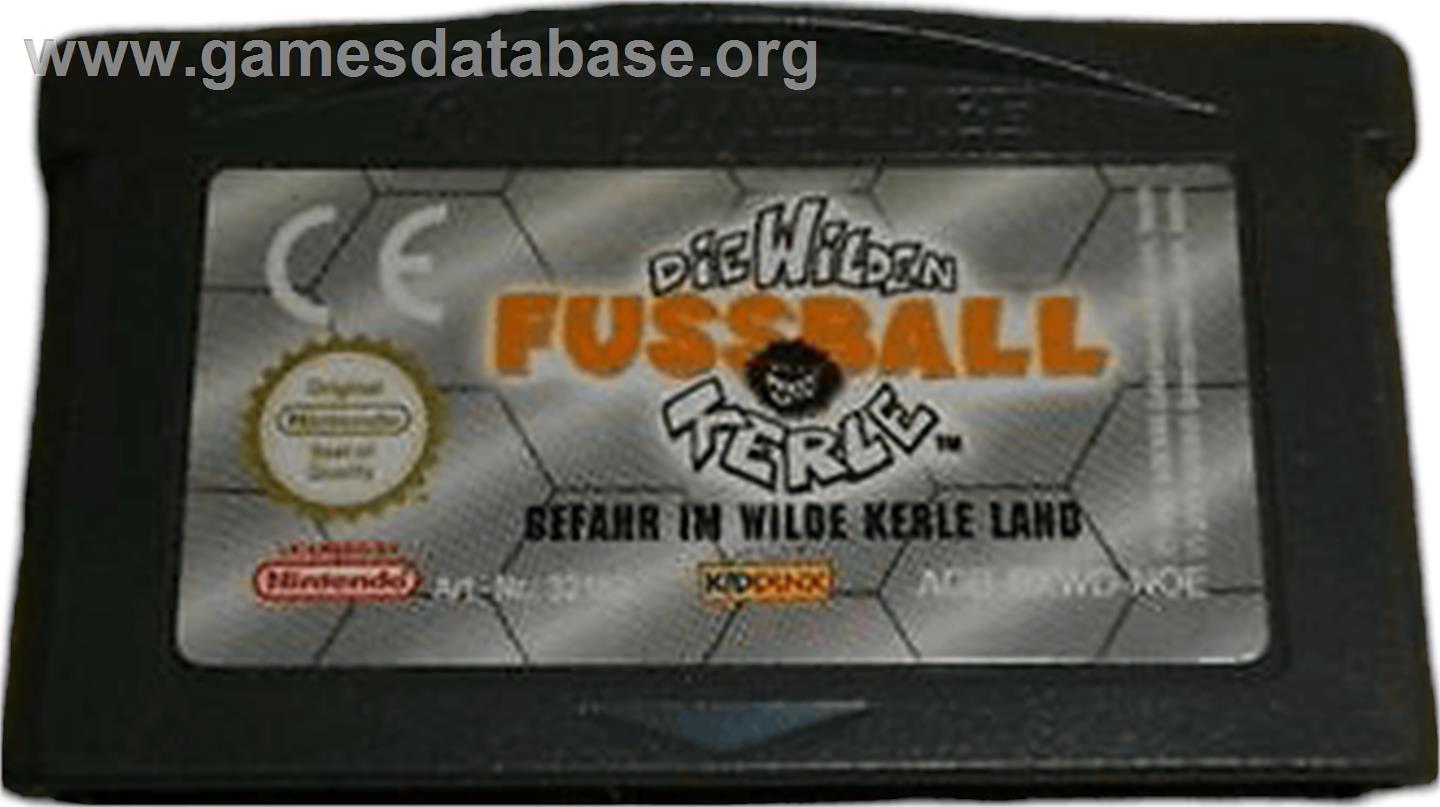 Wilden Fussball-kerle, Die - Gefahr Im Wilde Kerle Land - Nintendo Game Boy Advance - Artwork - Cartridge