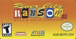Top of cartridge artwork for River City Ransom Ex on the Nintendo Game Boy Advance.
